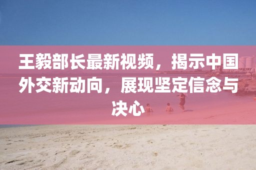 王毅部長最新視頻，揭示中國外交新動向，展現(xiàn)堅(jiān)定信念與決心
