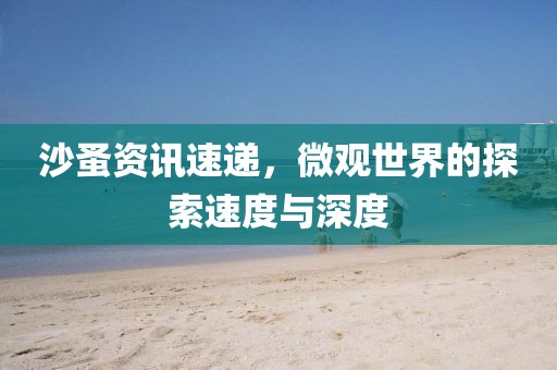 沙蚤資訊速遞，微觀世界的探索速度與深度