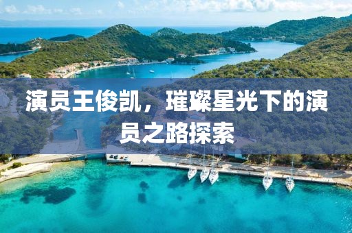 演員王俊凱，璀璨星光下的演員之路探索