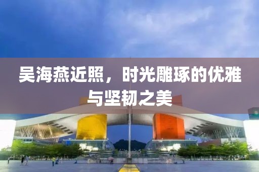 吳海燕近照，時光雕琢的優(yōu)雅與堅韌之美