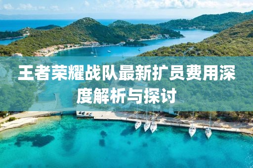 王者榮耀戰(zhàn)隊最新擴員費用深度解析與探討