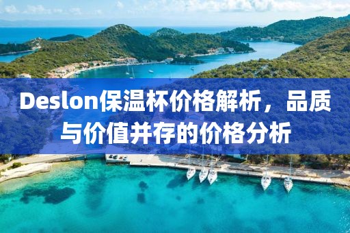Deslon保溫杯價格解析，品質與價值并存的價格分析