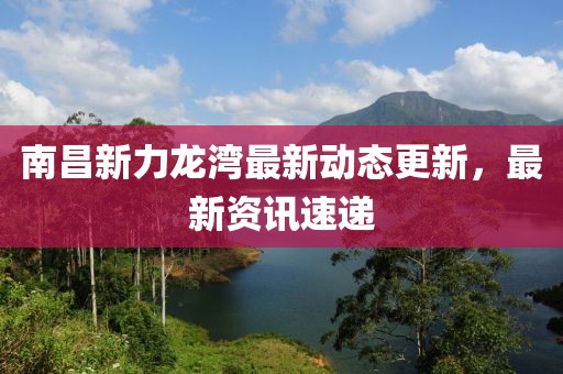南昌新力龍灣最新動(dòng)態(tài)更新，最新資訊速遞