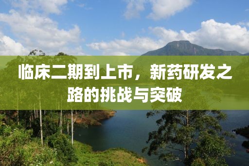 臨床二期到上市，新藥研發(fā)之路的挑戰(zhàn)與突破