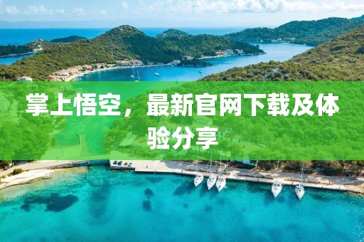 掌上悟空，最新官網(wǎng)下載及體驗分享
