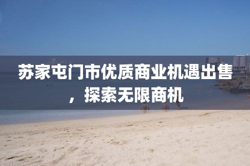 蘇家屯門(mén)市優(yōu)質(zhì)商業(yè)機(jī)遇出售，探索無(wú)限商機(jī)