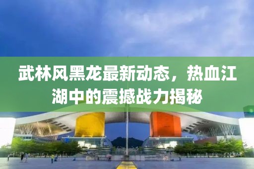 武林風(fēng)黑龍最新動態(tài)，熱血江湖中的震撼戰(zhàn)力揭秘