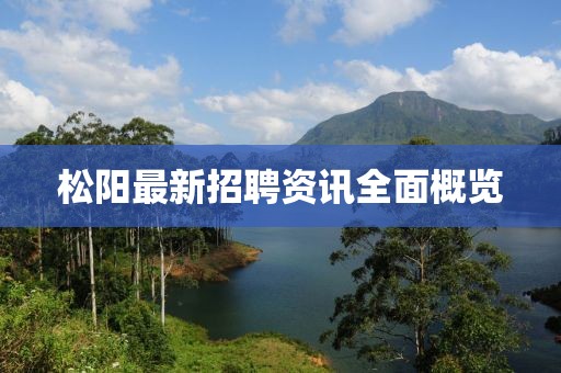 松陽(yáng)最新招聘資訊全面概覽