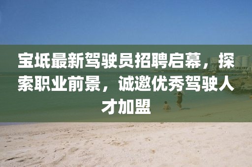 寶坻最新駕駛員招聘啟幕，探索職業(yè)前景，誠邀優(yōu)秀駕駛人才加盟