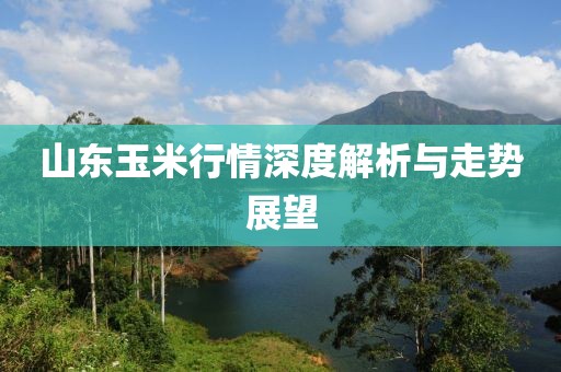 山東玉米行情深度解析與走勢展望