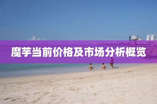 魔芋當前價格及市場分析概覽