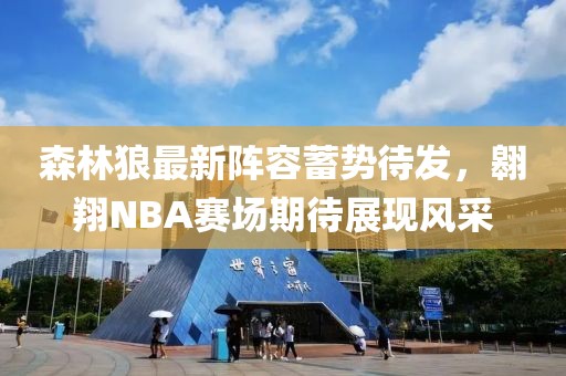 森林狼最新陣容蓄勢待發(fā)，翱翔NBA賽場期待展現風采