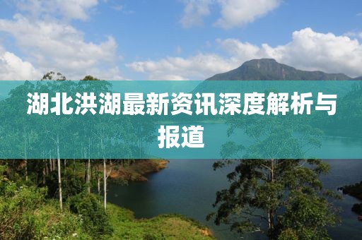 湖北洪湖最新資訊深度解析與報道