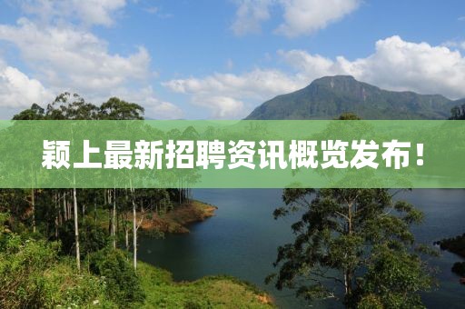 穎上最新招聘資訊概覽發(fā)布！