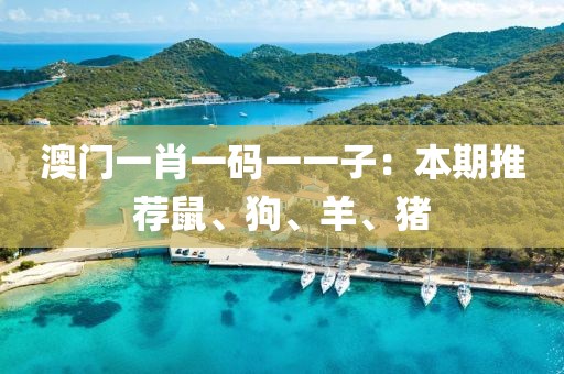 澳門一肖一碼一一子：本期推薦鼠、狗、羊、豬