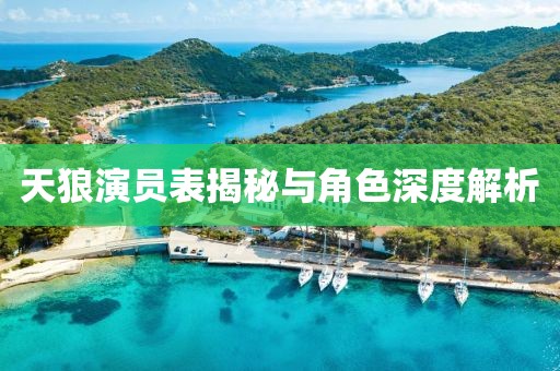 天狼演員表揭秘與角色深度解析