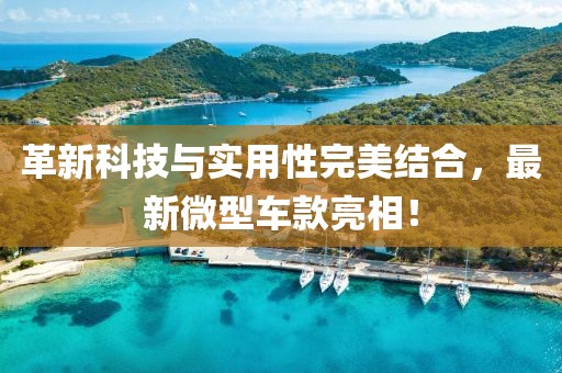 革新科技與實用性完美結合，最新微型車款亮相！