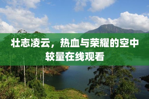 壯志凌云，熱血與榮耀的空中較量在線觀看