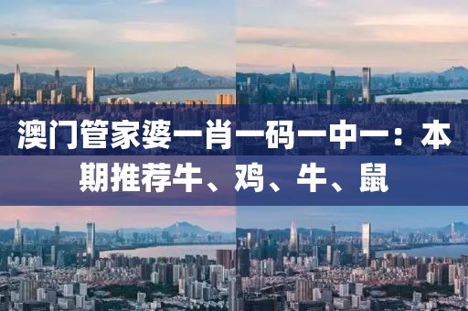 澳門管家婆一肖一碼一中一：本期推薦牛、雞、牛、鼠