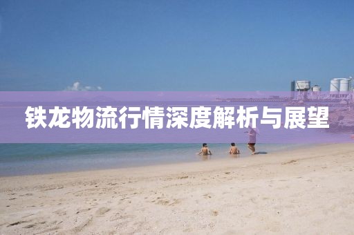 鐵龍物流行情深度解析與展望