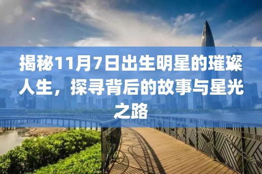 揭秘11月7日出生明星的璀璨人生，探尋背后的故事與星光之路
