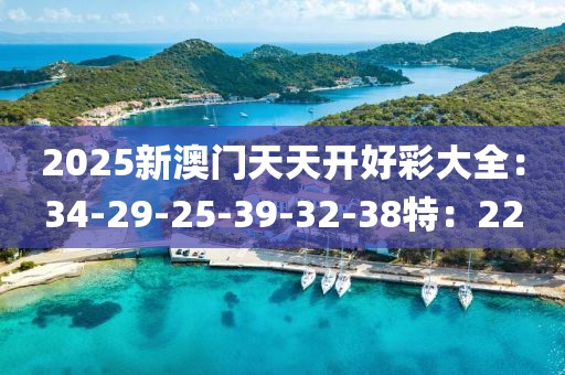 2025新澳門天天開好彩大全：34-29-25-39-32-38特：22