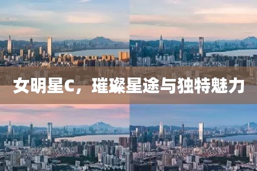 女明星C，璀璨星途與獨特魅力