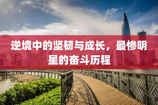 逆境中的堅韌與成長，最慘明星的奮斗歷程