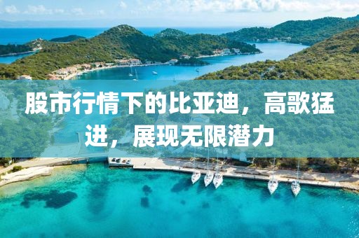 股市行情下的比亞迪，高歌猛進(jìn)，展現(xiàn)無限潛力