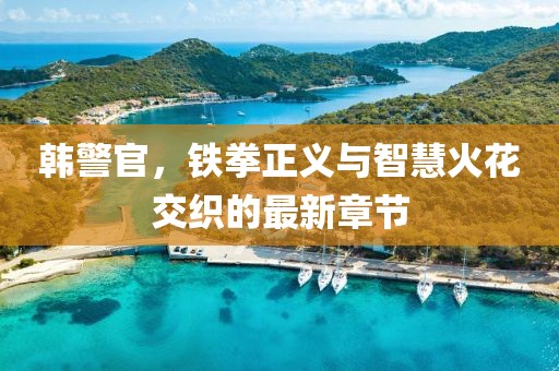 韓警官，鐵拳正義與智慧火花交織的最新章節(jié)