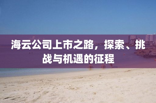 海云公司上市之路，探索、挑戰(zhàn)與機遇的征程
