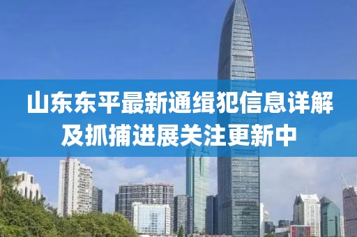 山東東平最新通緝犯信息詳解及抓捕進(jìn)展關(guān)注更新中