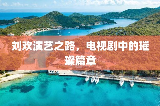 劉歡演藝之路，電視劇中的璀璨篇章