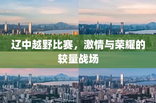 遼中越野比賽，激情與榮耀的較量戰(zhàn)場