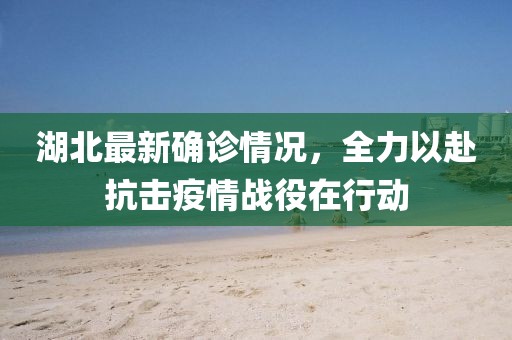 湖北最新確診情況，全力以赴抗擊疫情戰(zhàn)役在行動