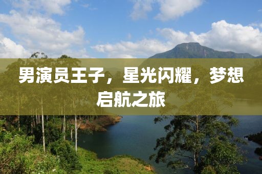 男演員王子，星光閃耀，夢想啟航之旅