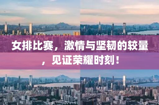 女排比賽，激情與堅韌的較量，見證榮耀時刻！