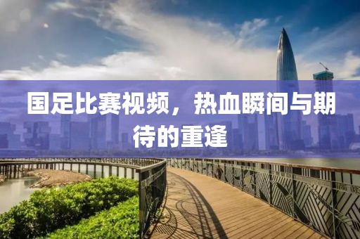 國(guó)足比賽視頻，熱血瞬間與期待的重逢