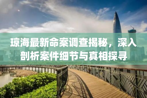 瓊海最新命案調查揭秘，深入剖析案件細節(jié)與真相探尋