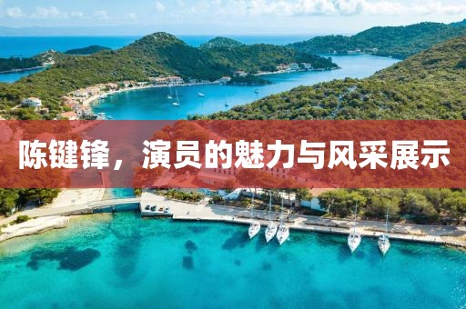 陳鍵鋒，演員的魅力與風(fēng)采展示