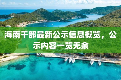 海南干部最新公示信息概覽，公示內(nèi)容一覽無余