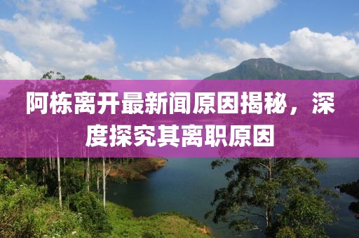 阿棟離開最新聞原因揭秘，深度探究其離職原因