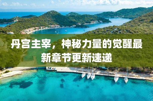 丹宮主宰，神秘力量的覺(jué)醒最新章節(jié)更新速遞