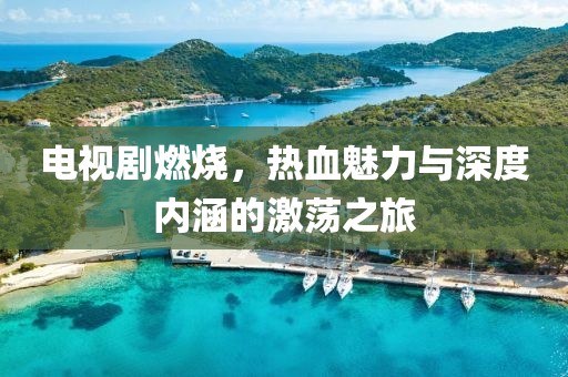 電視劇燃燒，熱血魅力與深度內(nèi)涵的激蕩之旅