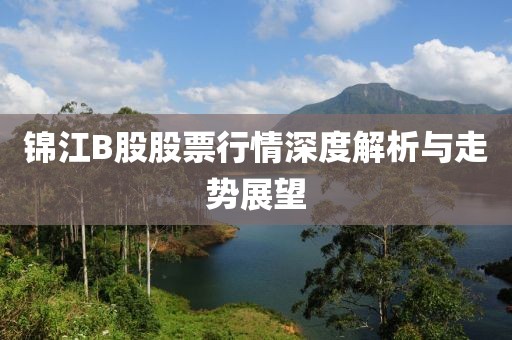 錦江B股股票行情深度解析與走勢展望