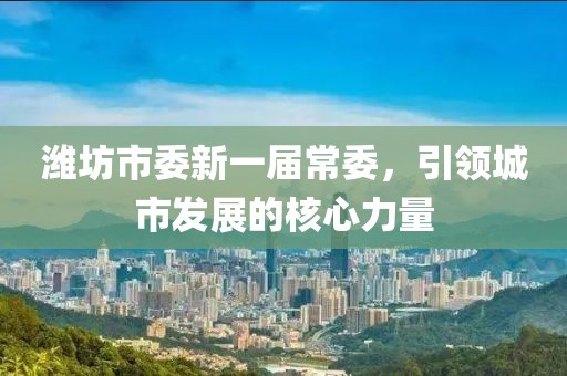 濰坊市委新一屆常委，引領(lǐng)城市發(fā)展的核心力量