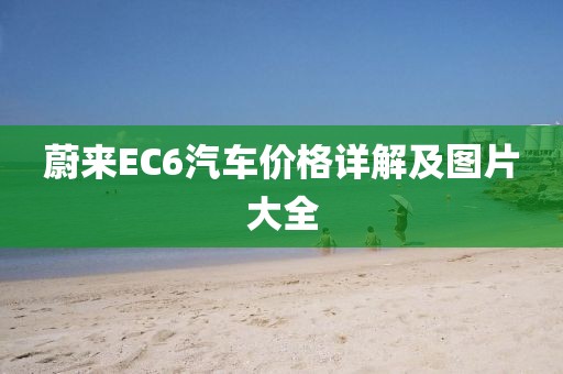蔚來(lái)EC6汽車價(jià)格詳解及圖片大全