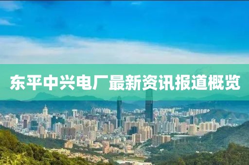 東平中興電廠最新資訊報(bào)道概覽
