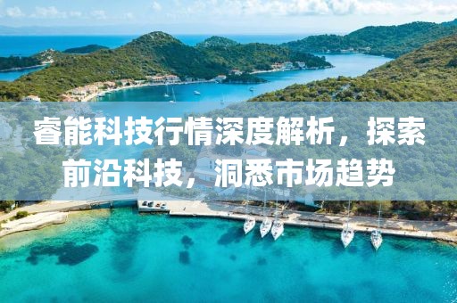 睿能科技行情深度解析，探索前沿科技，洞悉市場(chǎng)趨勢(shì)