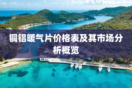 銅鋁暖氣片價格表及其市場分析概覽